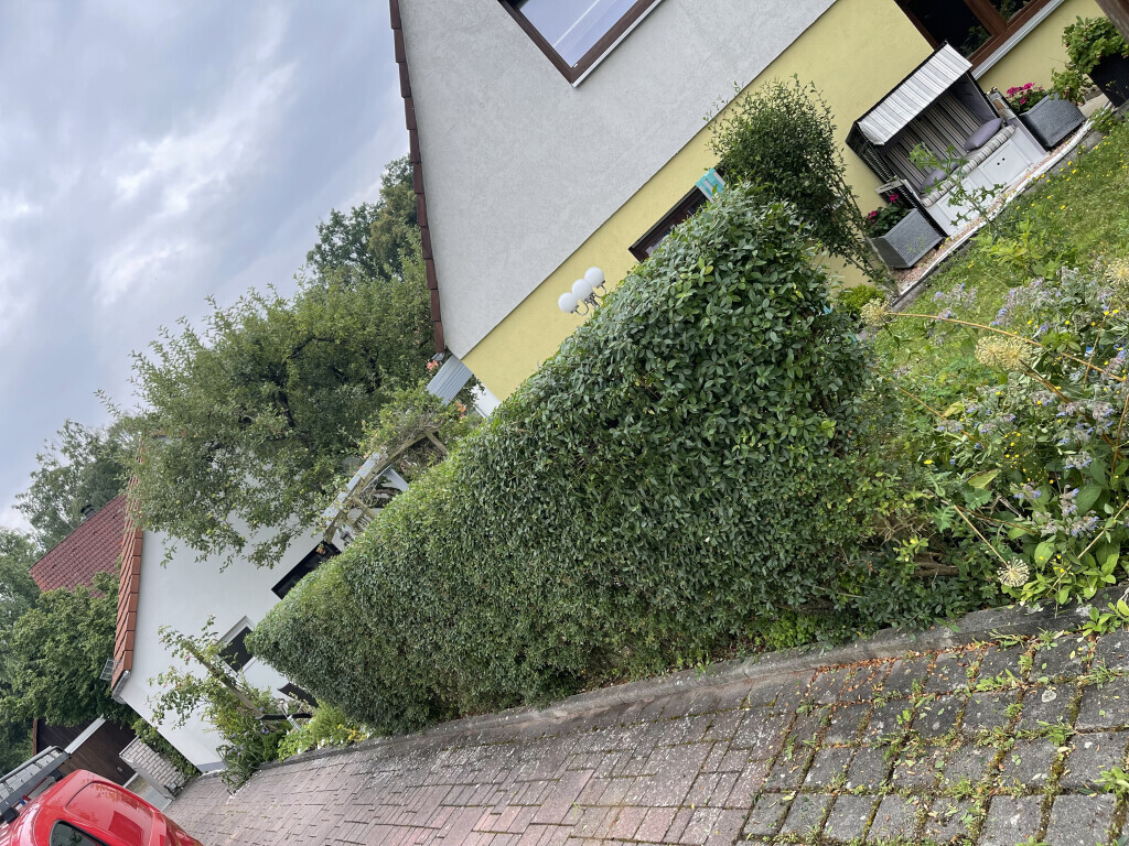 Bilder Bluhm Gartenpflege u. Gebäudeservice Alles rund ums Haus