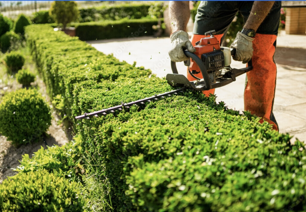 Bilder Bluhm Gartenpflege u. Gebäudeservice Alles rund ums Haus