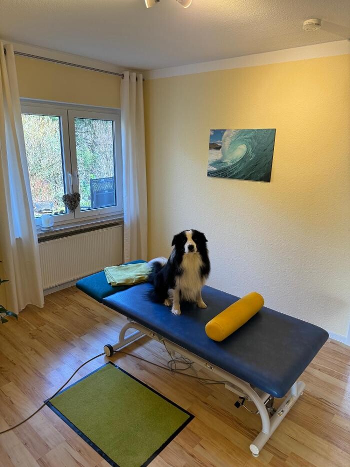 Bilder Physiotherapie Stähler