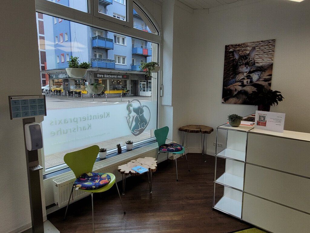 Bilder Kleintierpraxis Karlsruhe Dr. Magdalena Behrendt-Wippermann
