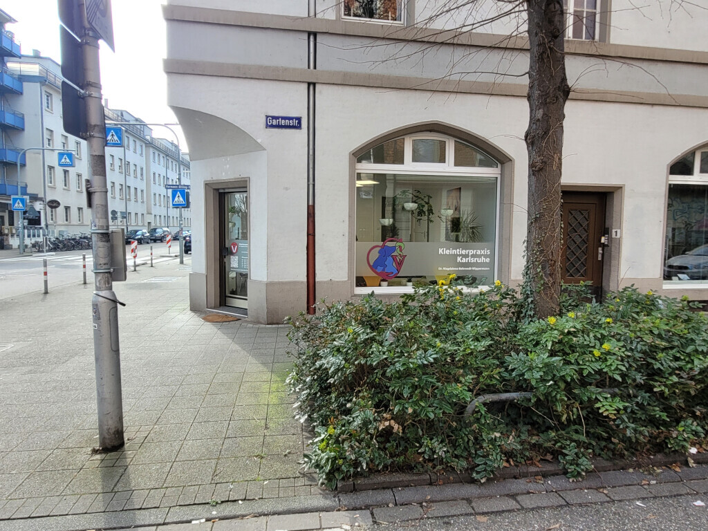 Bilder Kleintierpraxis Karlsruhe Dr. Magdalena Behrendt-Wippermann