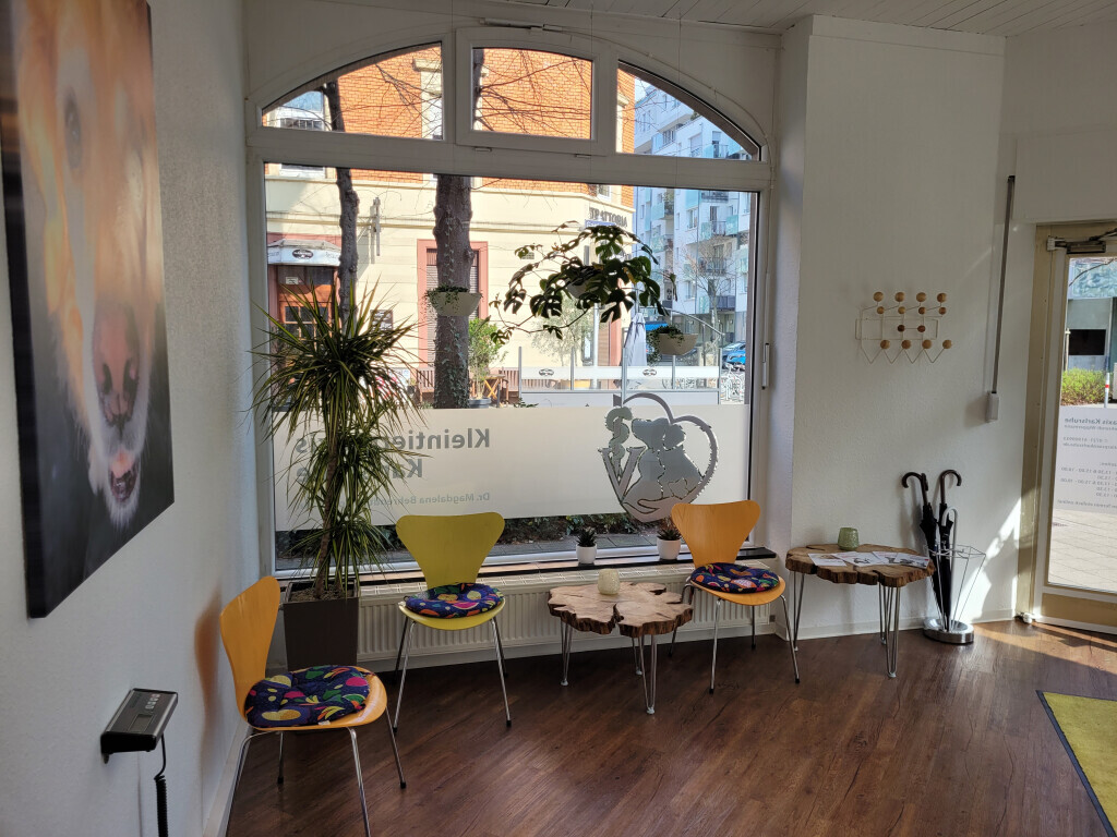 Bilder Kleintierpraxis Karlsruhe Dr. Magdalena Behrendt-Wippermann