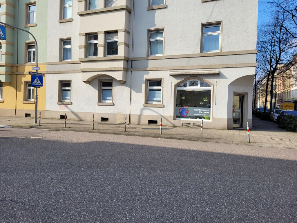 Bilder Kleintierpraxis Karlsruhe Dr. Magdalena Behrendt-Wippermann