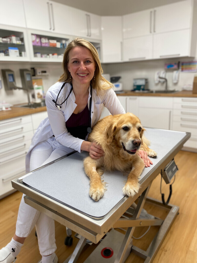 Bilder Kleintierpraxis Karlsruhe Dr. Magdalena Behrendt-Wippermann