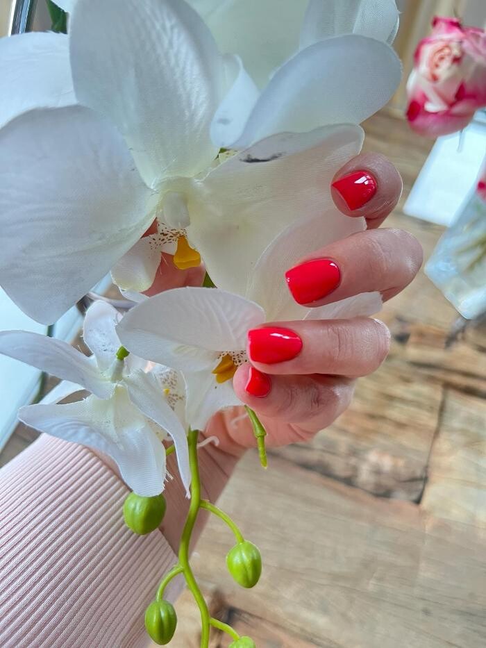 Bilder NailAcademy und Studio