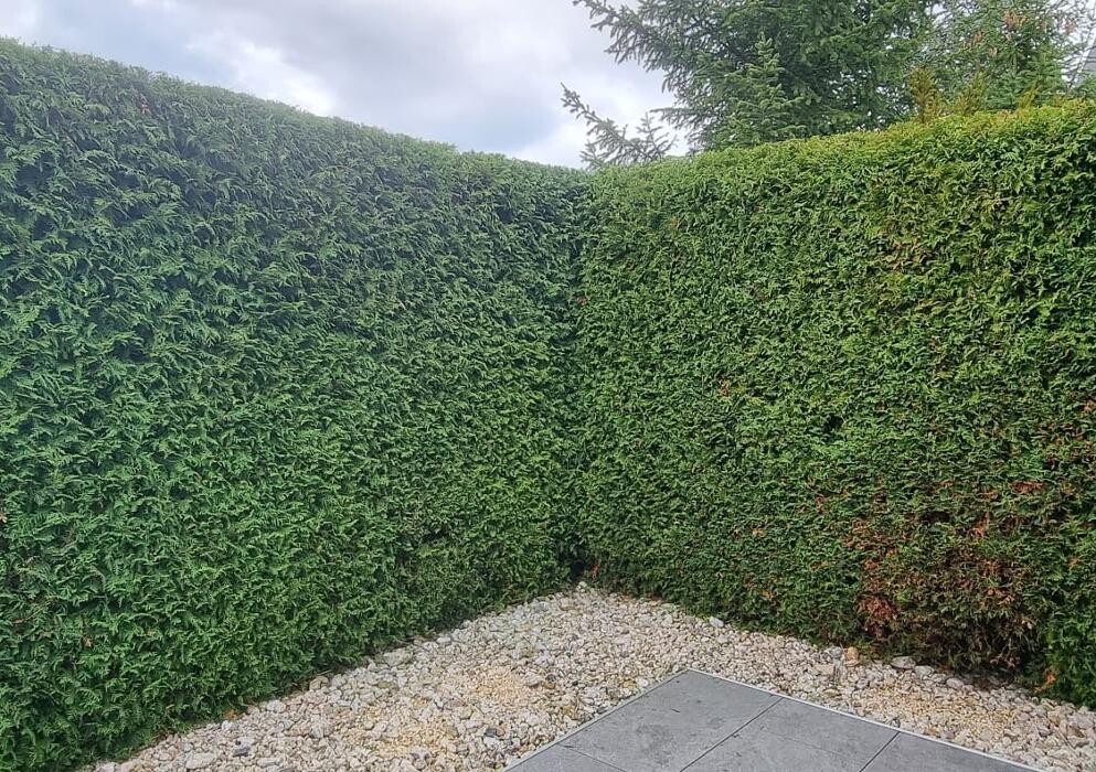 Bilder Gartenservice Cedric Rother