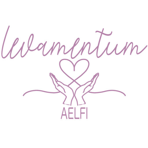Betreuungsdienst Levamentum Aelfi - Duisburg Logo