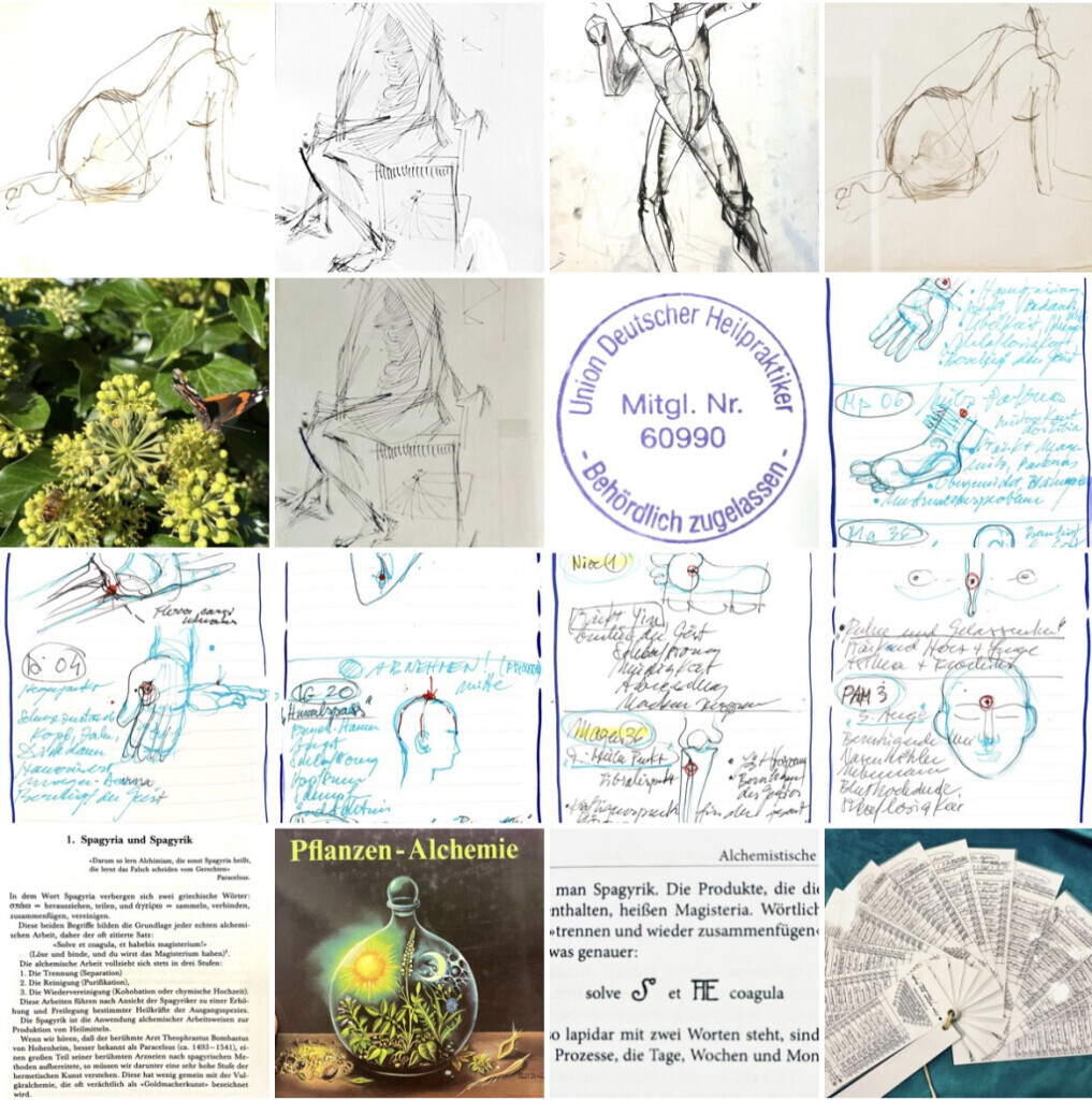 Bilder Naturheilpraxis HOLOS Fulga Stefania Marianov