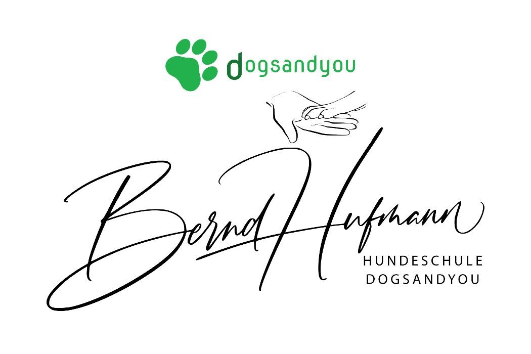 Bilder Hundeschule dogsandyou