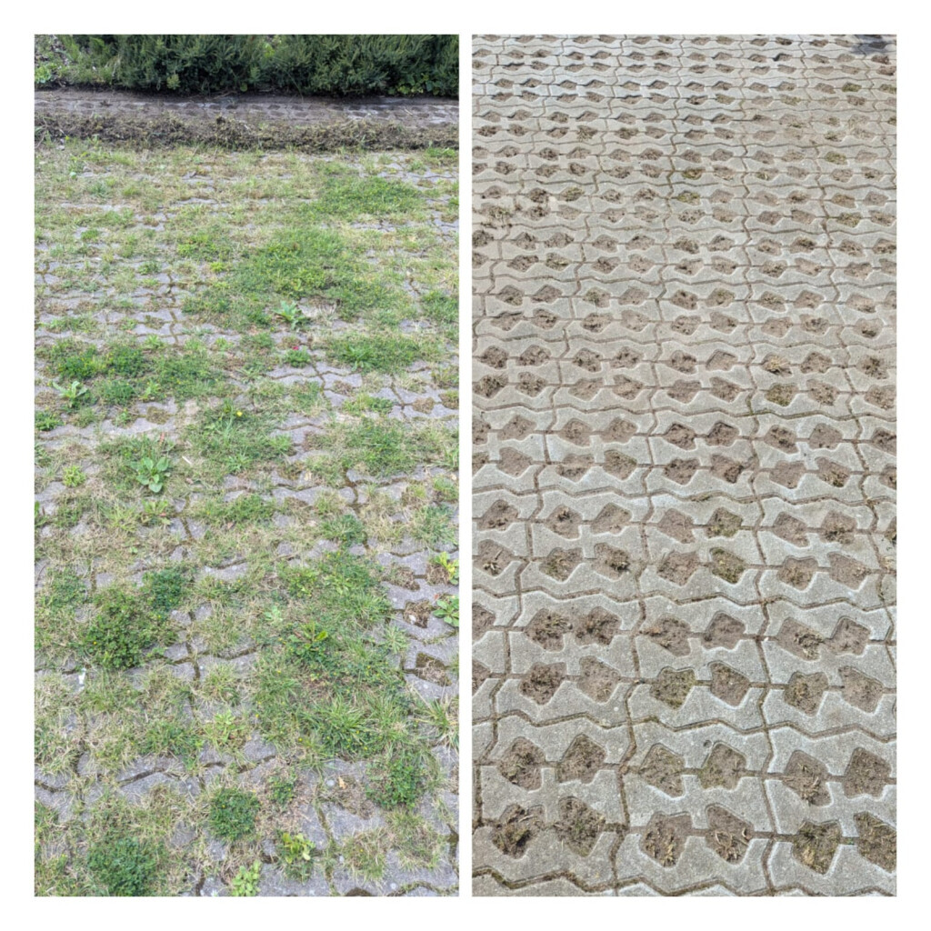 Bilder Ostsee Objektservices