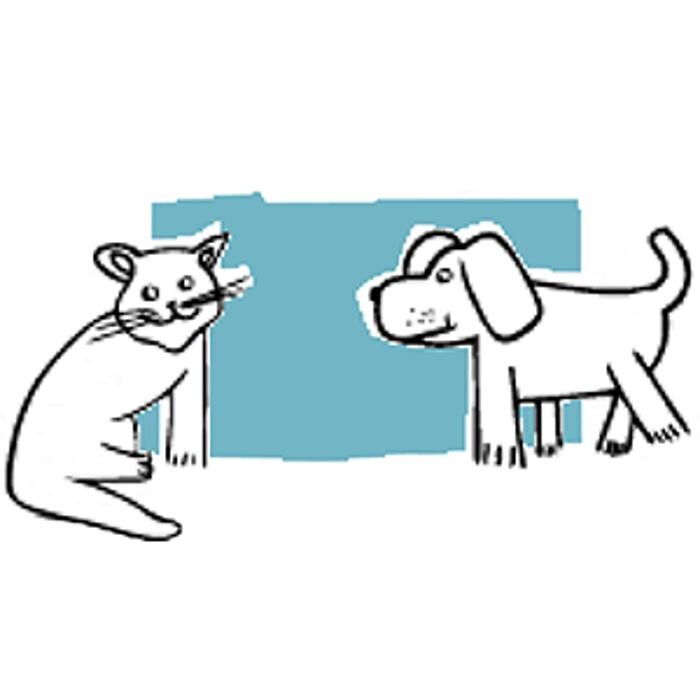 Bilder Kleintierpraxis Wendel | Inh. Dr. Fabian Wendel