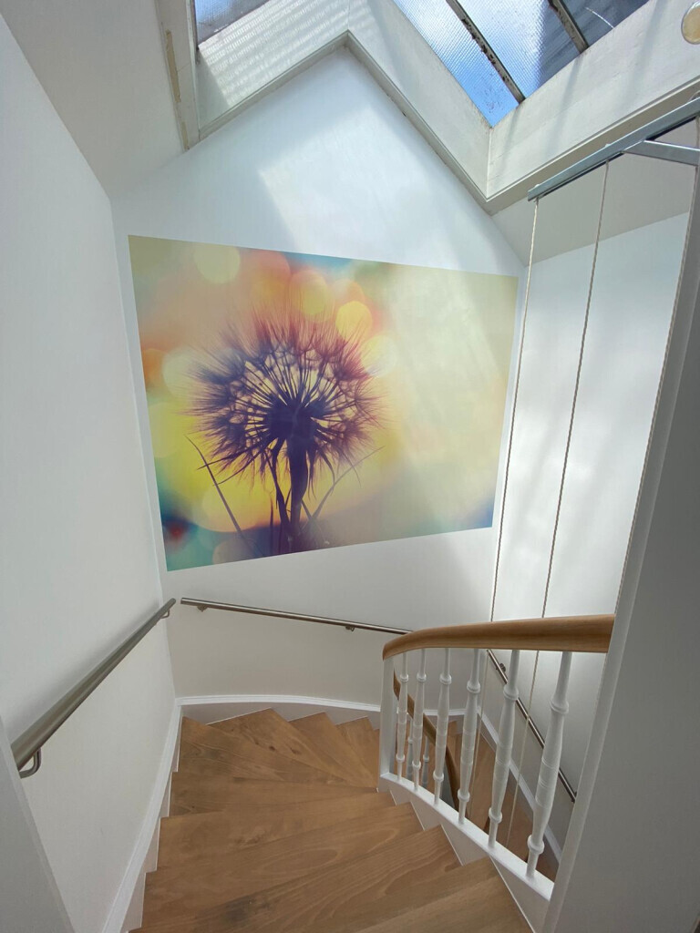 Bilder RaumGlanz Malermeisterbetrieb