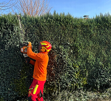 Bilder Hohmeier e.U.