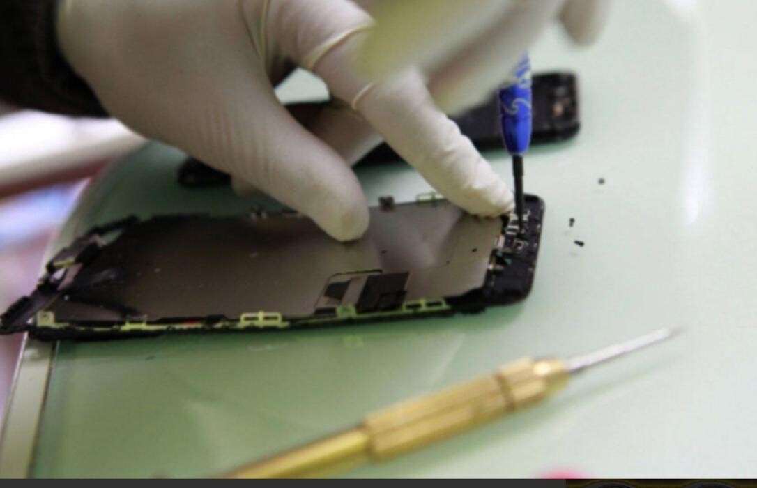 Bilder Royal Phone/Farhad Sineh Sepehr