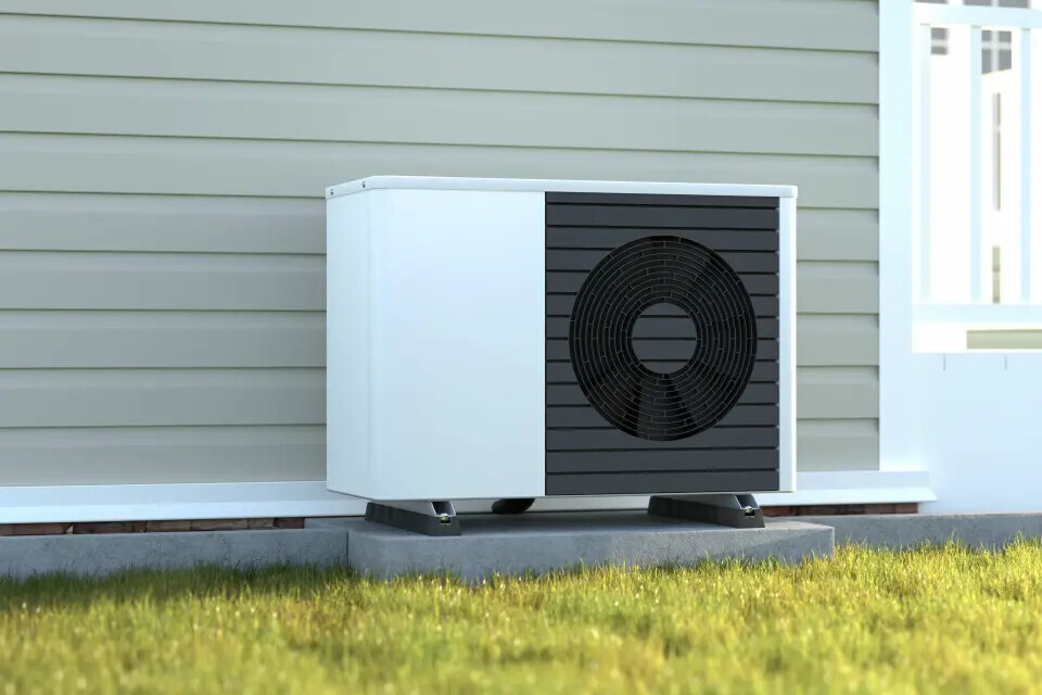 Bilder Future Fox Gmbh