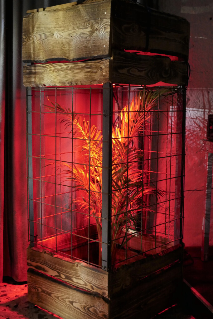 Bilder Tiefgang Events GmbH