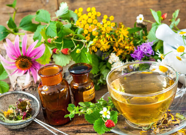 Bilder Naturheilpraxis für ganzheitliche Frauenheilkunde