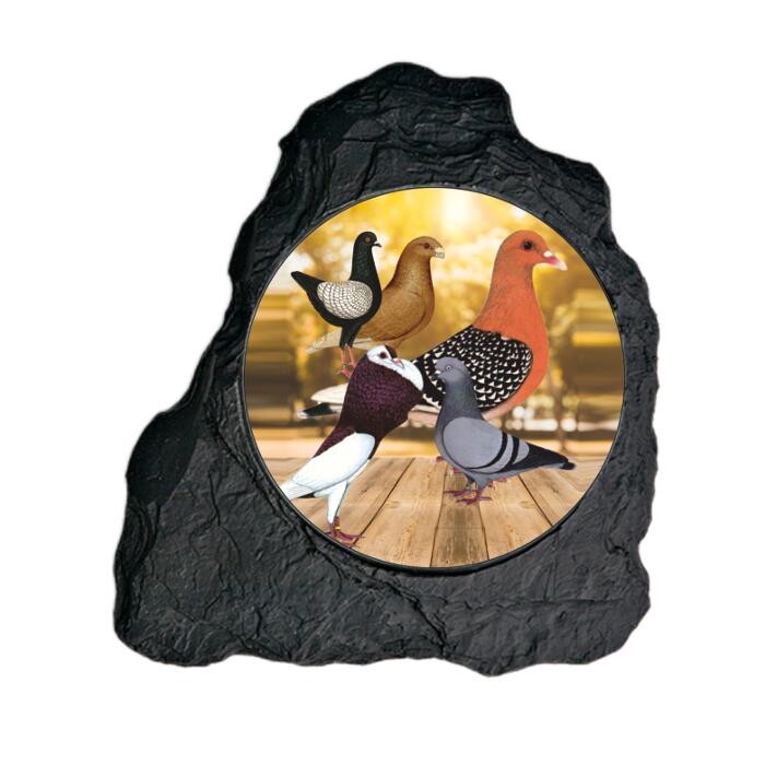 Bilder Pedro Scharffenberger