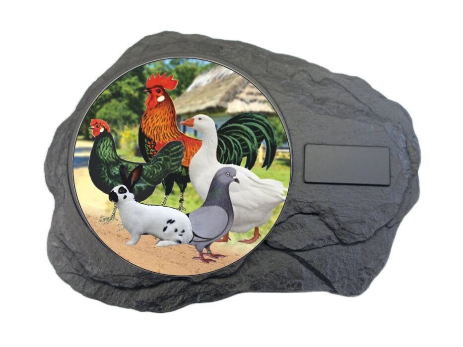 Bilder Pedro Scharffenberger