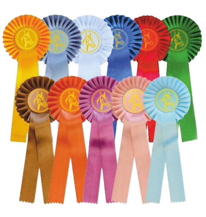 Bilder Pedro Scharffenberger