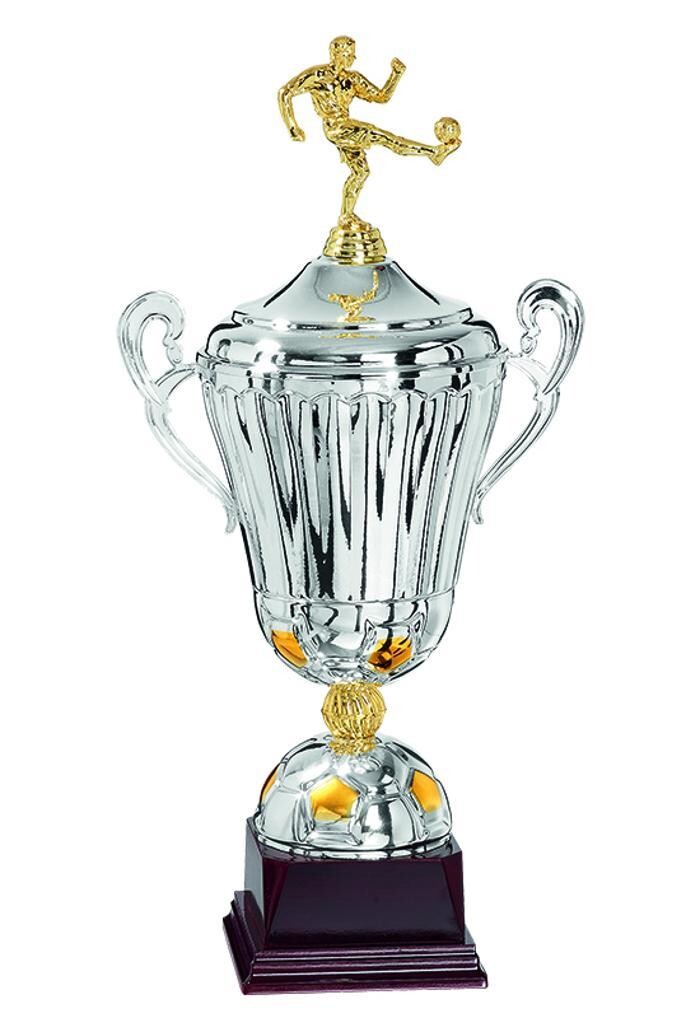 Bilder Pedro Scharffenberger