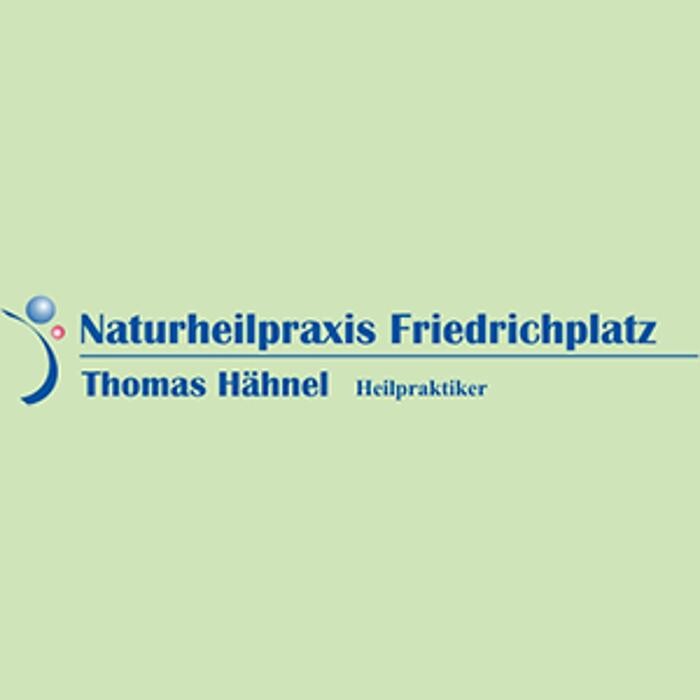 Praxis für Naturheilkunde Thomas Hähnel Logo