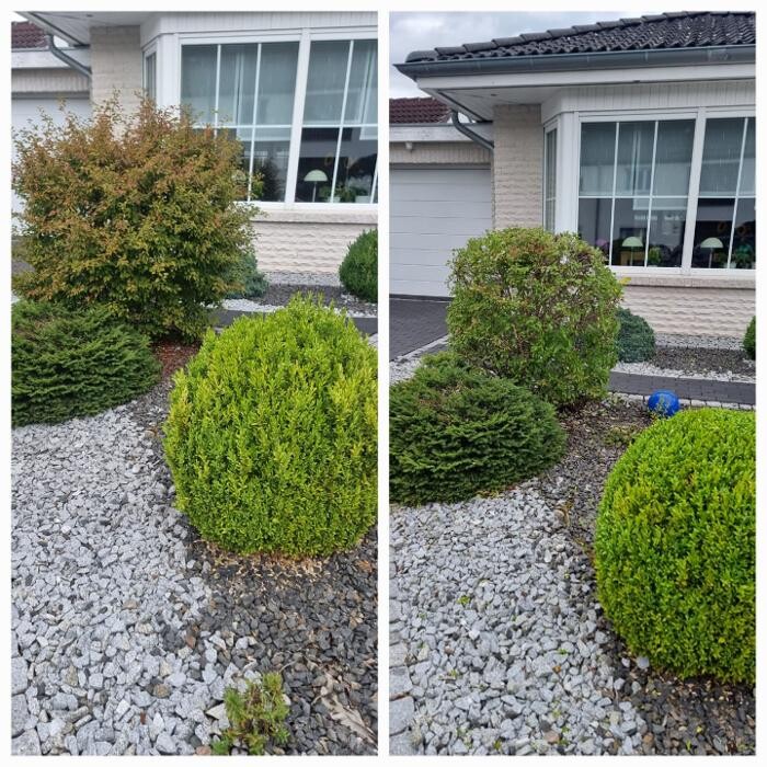 Bilder Gartenbau Service Oberzwehren