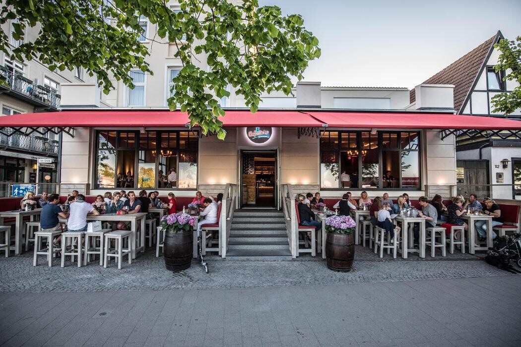 Bilder Hafenliebe Seehund Bar Warnemünde