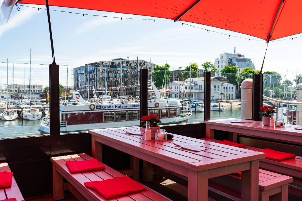 Bilder Hafenliebe Seehund Bar Warnemünde