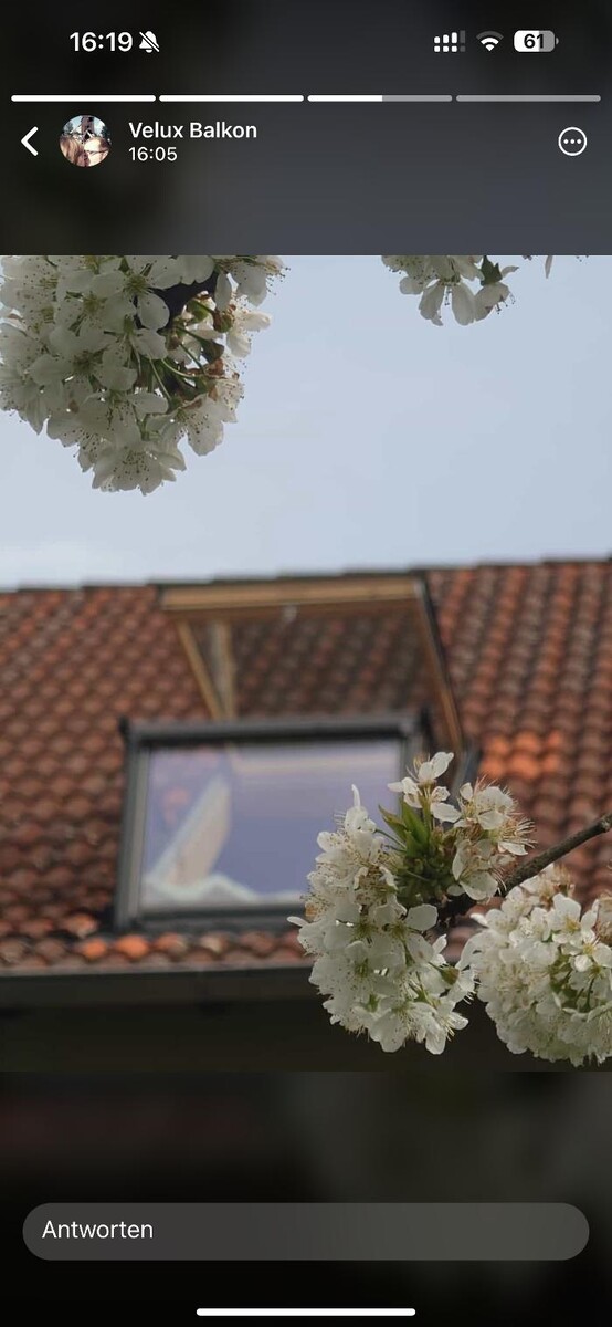 Bilder P&K Dachfenster