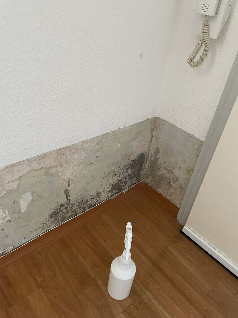 Bilder Sanierungs Fuchs