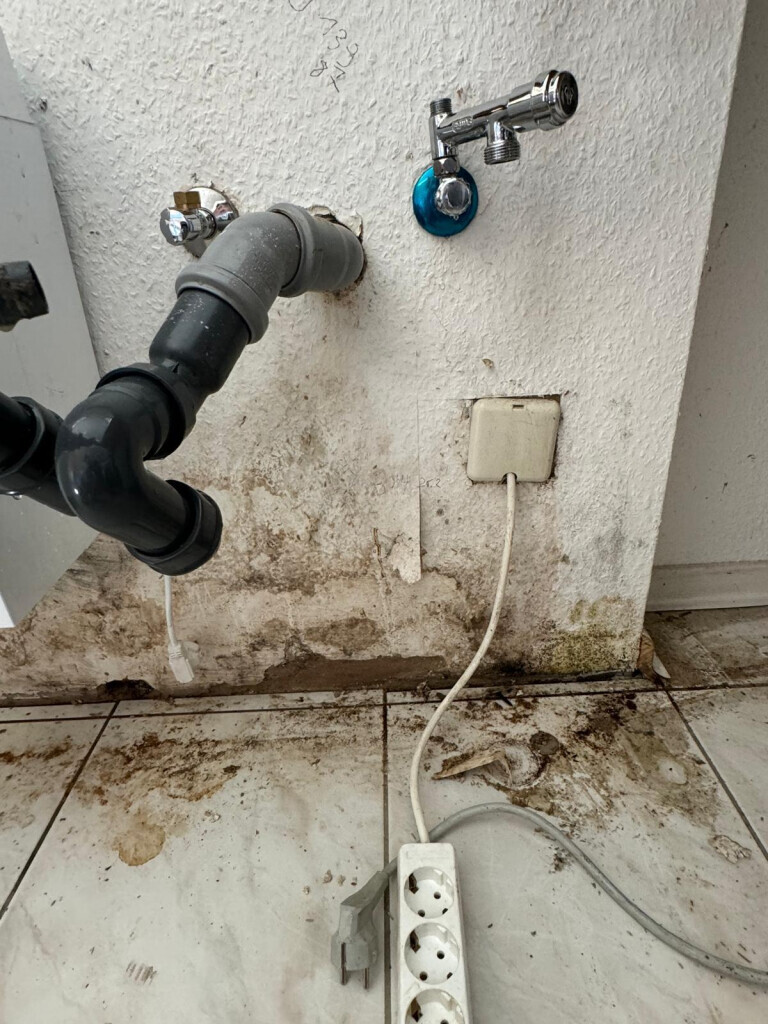 Bilder Sanierungs Fuchs