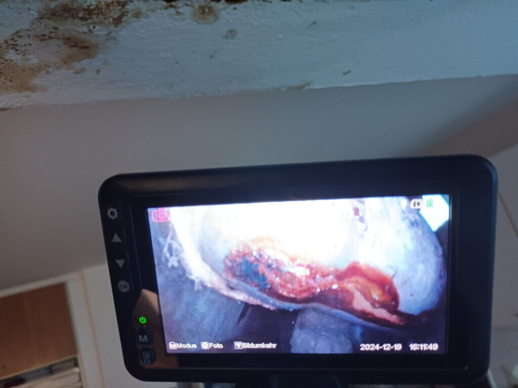 Bilder Sanierungs Fuchs