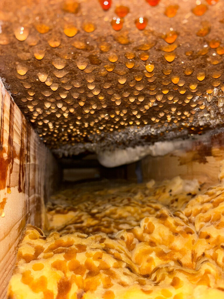 Bilder Sanierungs Fuchs