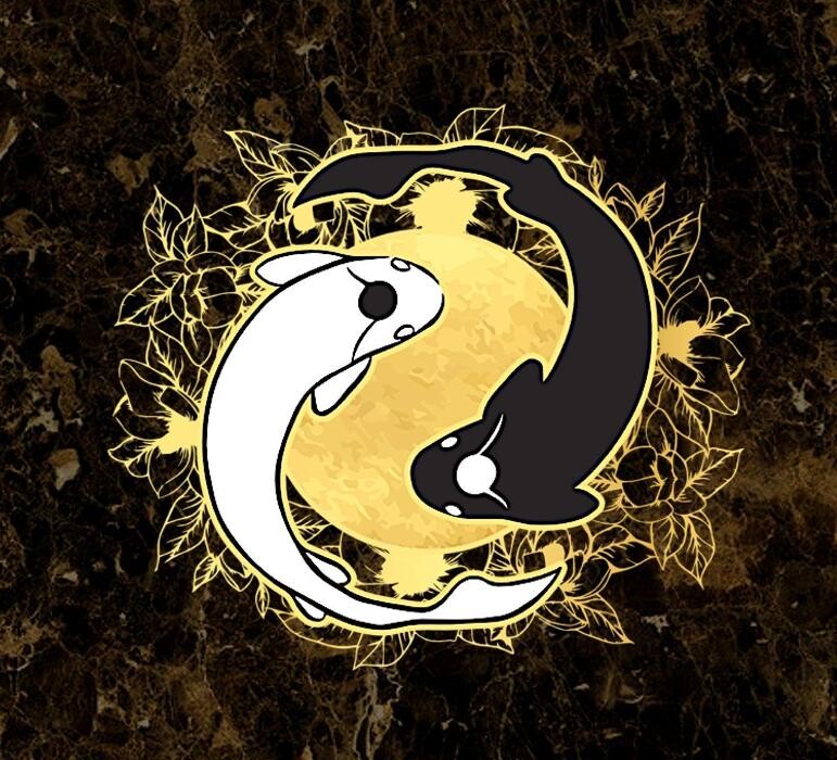 Moli Modo Restaurant Logo