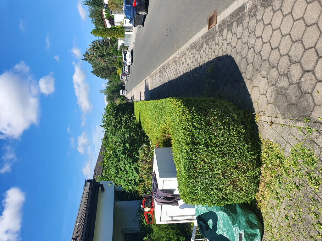 Bilder M.B Baum-Dienstleistungen