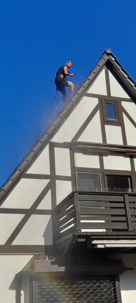 Bilder M.B Baum-Dienstleistungen