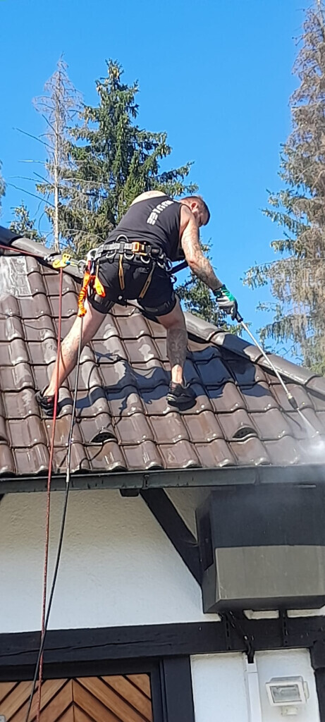 Bilder M.B Baum-Dienstleistungen