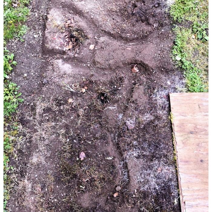 Bilder DETEK Schädlingsbekämpfung & Kammerjäger Gelsenkirchen - NRW