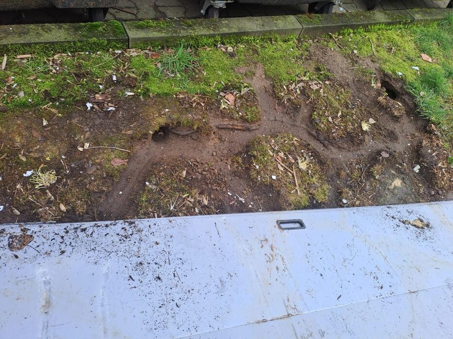 Bilder DETEK Schädlingsbekämpfung & Kammerjäger Gelsenkirchen - NRW
