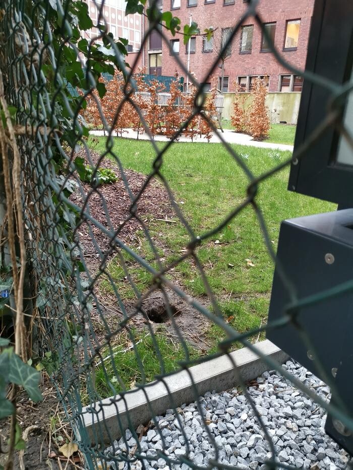 Bilder DETEK Schädlingsbekämpfung & Kammerjäger Gelsenkirchen - NRW