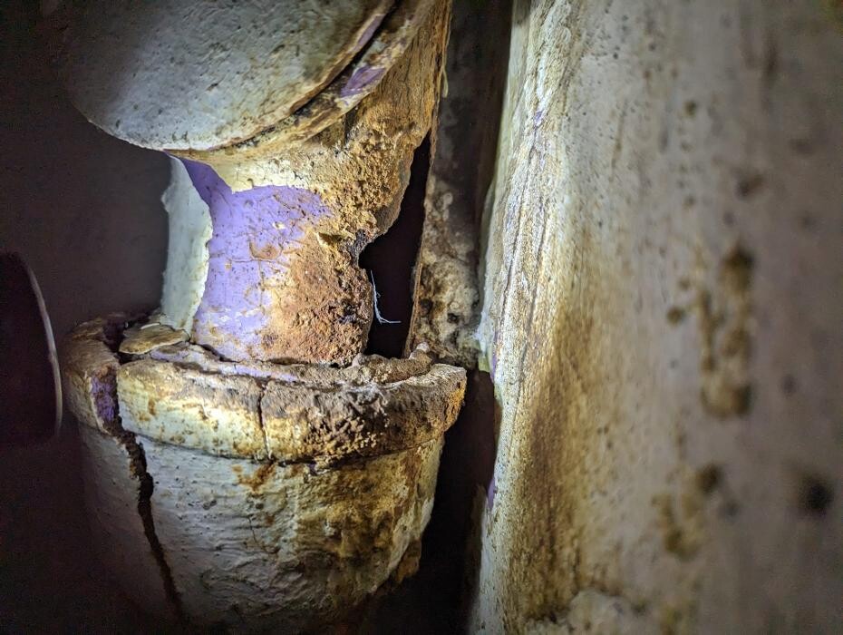 Bilder DETEK Schädlingsbekämpfung & Kammerjäger Gelsenkirchen - NRW