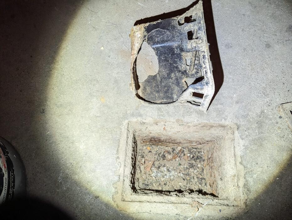 Bilder DETEK Schädlingsbekämpfung & Kammerjäger Gelsenkirchen - NRW