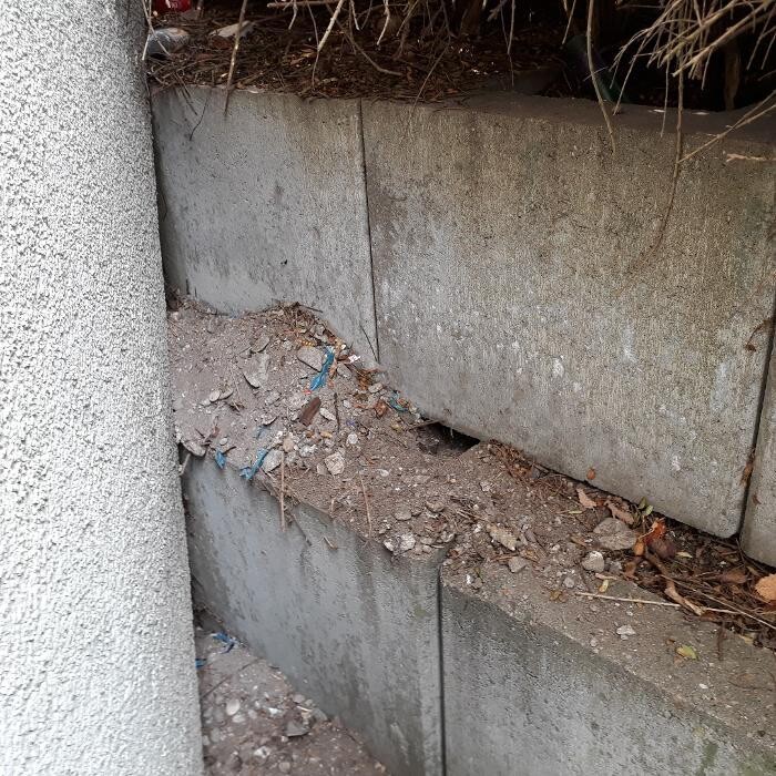 Bilder DETEK Schädlingsbekämpfung & Kammerjäger Gelsenkirchen - NRW