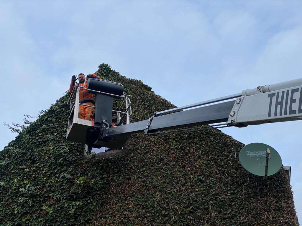 Bilder Gartenpflege Wiesmann