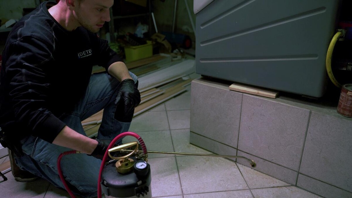 Bilder DETEK Schädlingsbekämpfung & Kammerjäger Münster - NRW