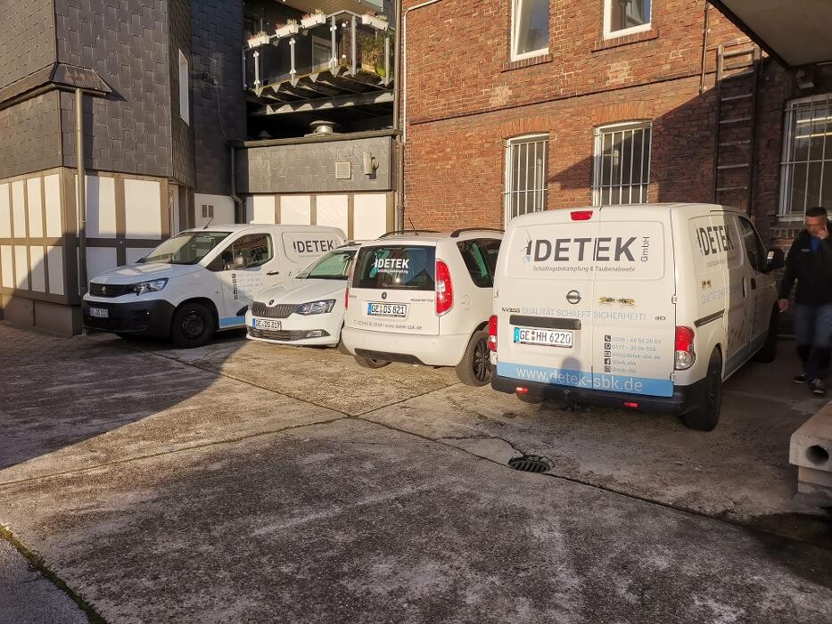 Bilder DETEK Schädlingsbekämpfung & Kammerjäger Münster - NRW
