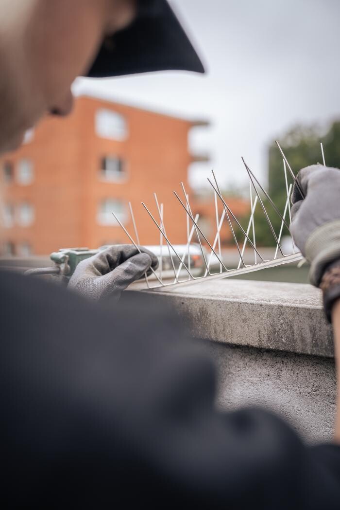 Bilder DETEK Schädlingsbekämpfung & Kammerjäger Münster - NRW