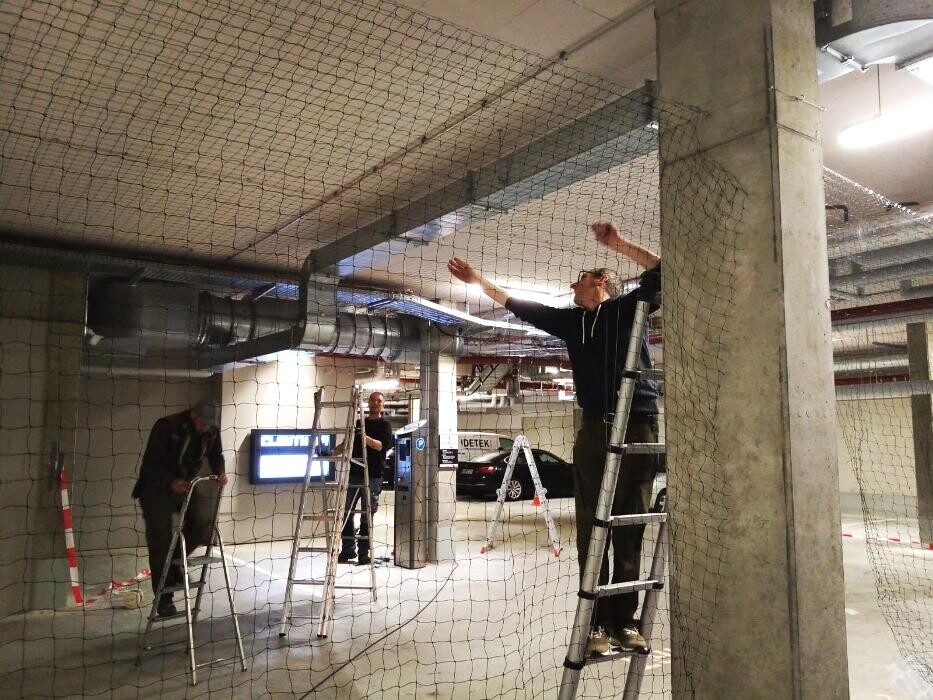 Bilder DETEK Schädlingsbekämpfung & Kammerjäger Münster - NRW
