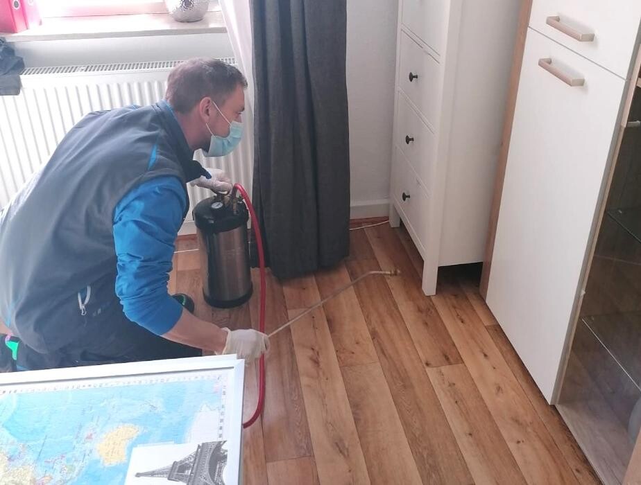 Bilder DETEK Schädlingsbekämpfung & Kammerjäger Münster - NRW